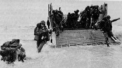 But who do the Marines go tell it to?